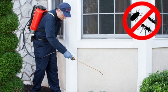 Çamlıhemşin Karınca İlaçlama böcek ilaçlama ve haşere kontrolü — ilaclama-tr.com